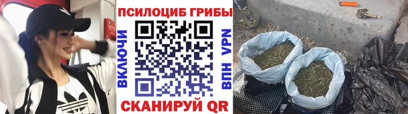 Псилоцибиновые грибы прущие грибы  Пермь 